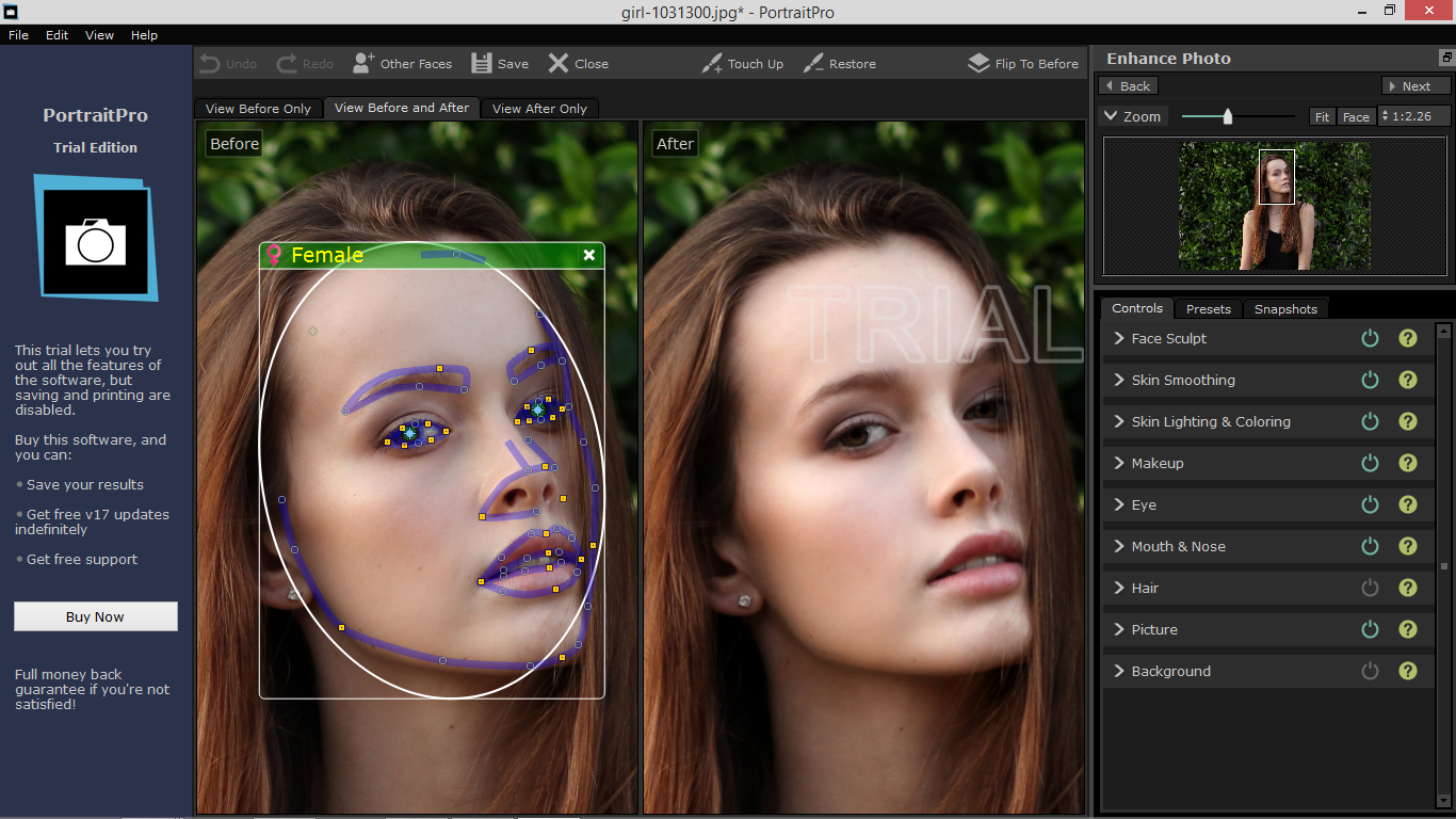 imagenomic portraiture vs portraitpro